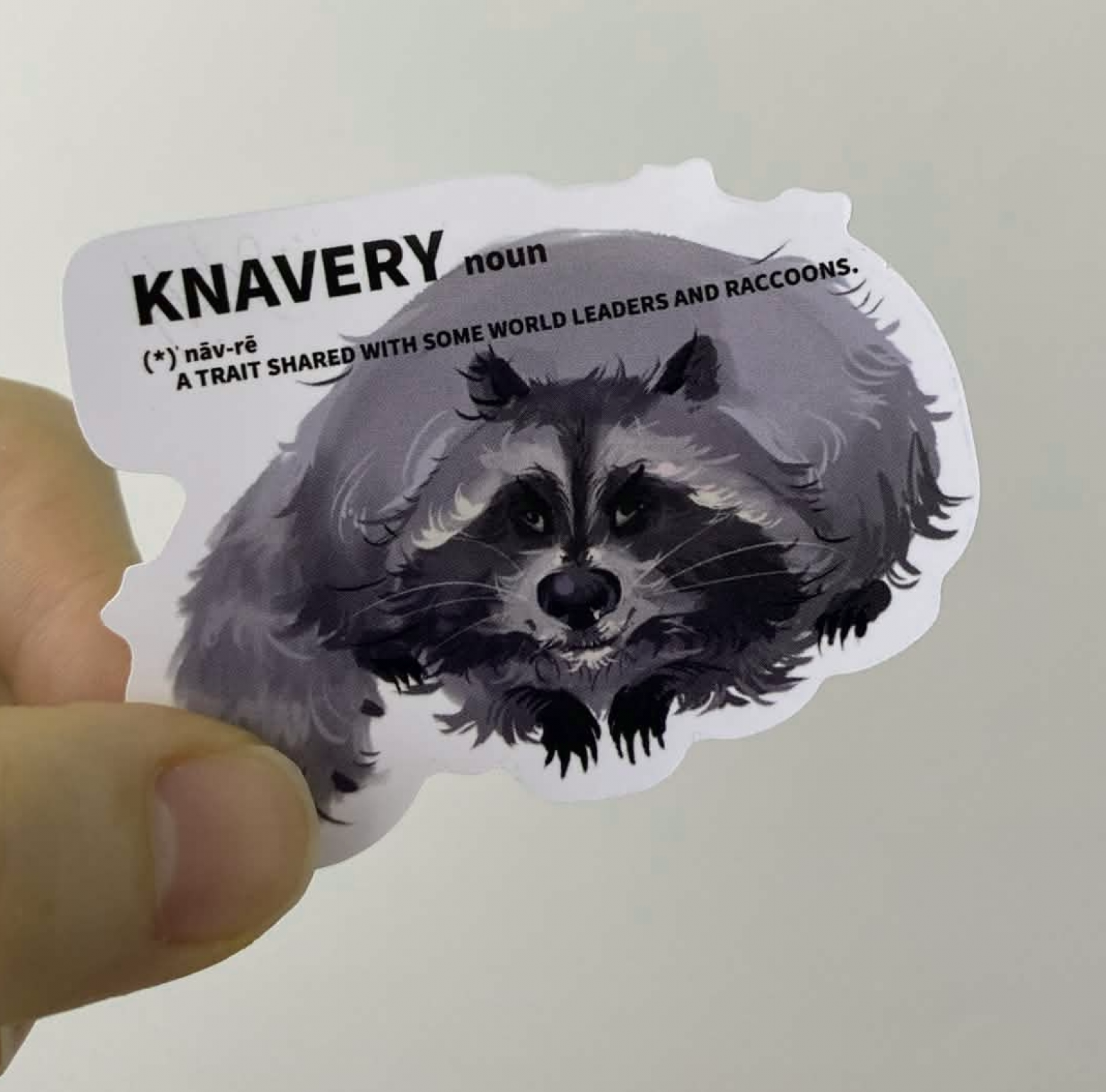 Raccoon Intelligence stickers