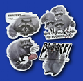 Raccoon Intelligence stickers