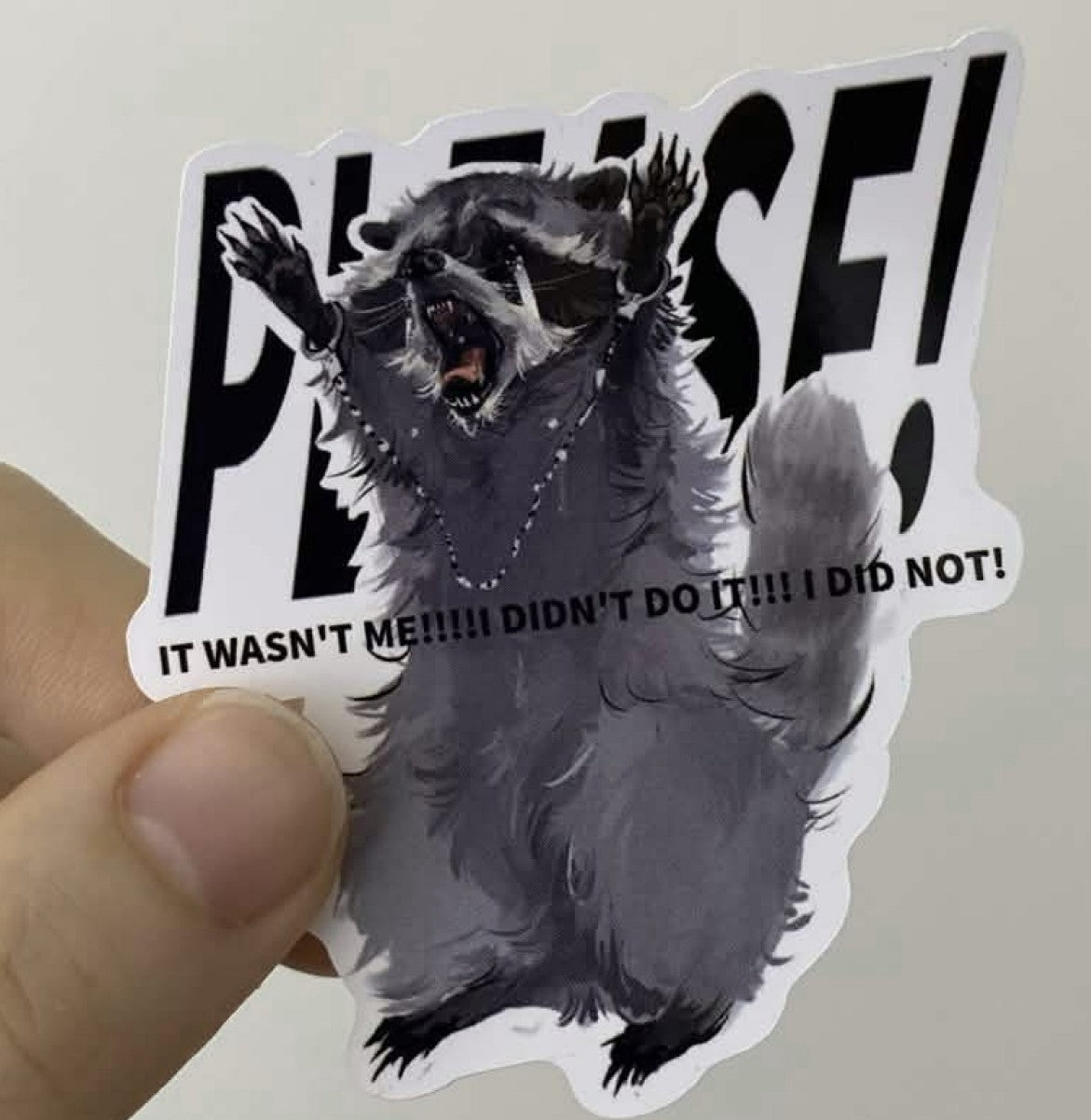 Raccoon Intelligence stickers